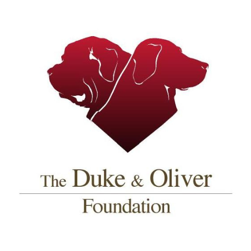 The Duke and Oliver Foundation logo