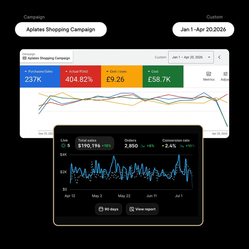 Meta and Google Ads campaign management by 7SEA Marketing, an Official Google Partner