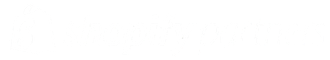 Shopify Partner